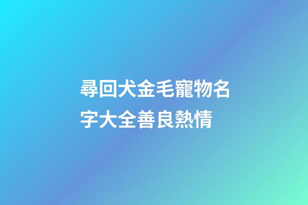 尋回犬金毛寵物名字大全善良熱情