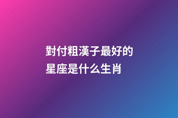 對付粗漢子最好的星座是什么生肖