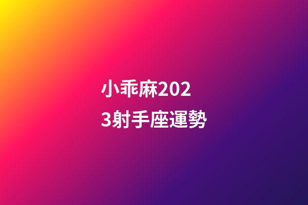 小乖麻2023射手座運勢-第1張-星座運勢-玄機派