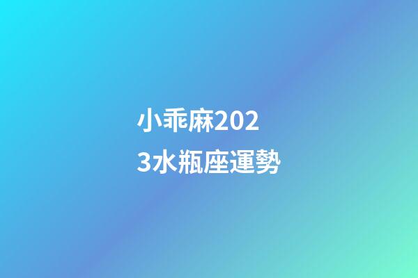 小乖麻2023水瓶座運勢-第1張-星座運勢-玄機派