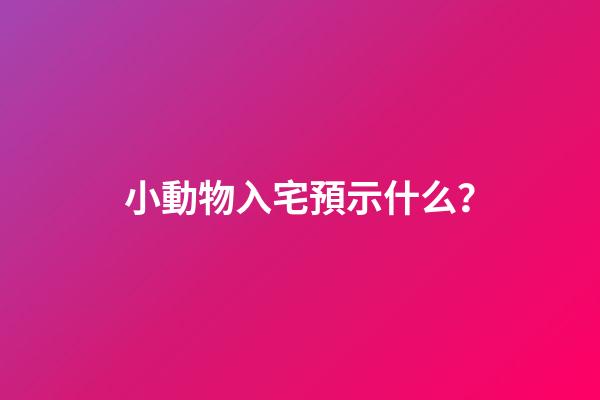 小動物入宅預示什么？