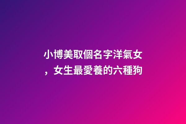 小博美取個名字洋氣女，女生最愛養的六種狗