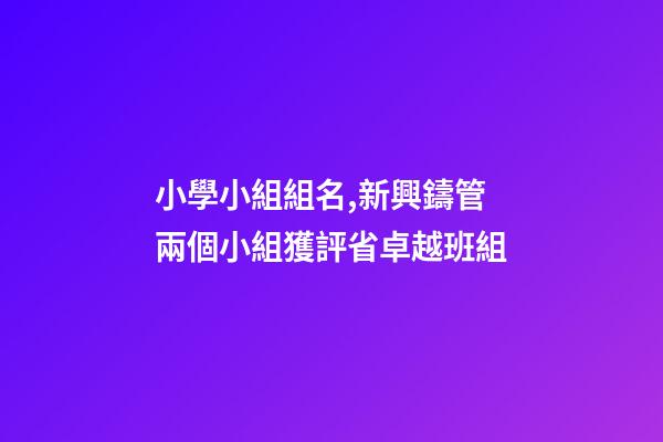 小學小組組名,新興鑄管兩個小組獲評省卓越班組-第1張-觀點-玄機派