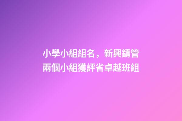 小學小組組名，新興鑄管兩個小組獲評省卓越班組-第1張-觀點-玄機派