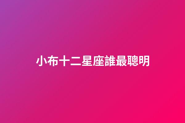 小布十二星座誰最聰明-第1張-星座運勢-玄機派