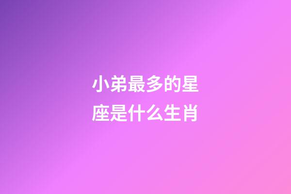 小弟最多的星座是什么生肖-第1張-星座運勢-玄機派