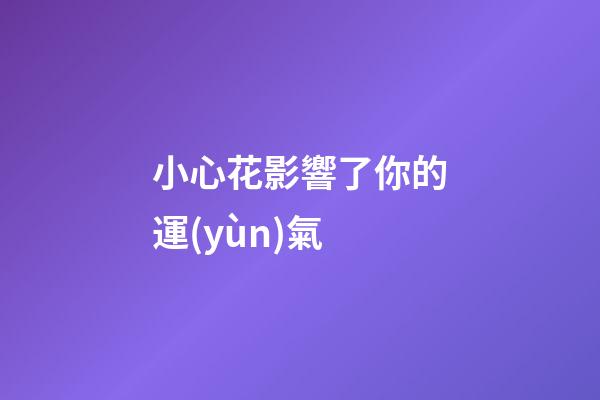 小心花影響了你的運(yùn)氣
