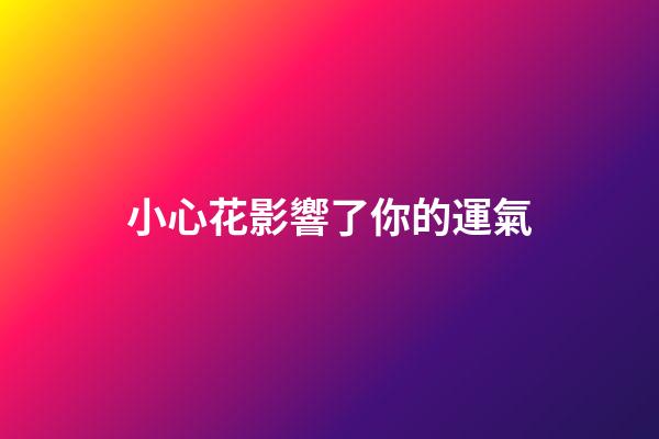 小心花影響了你的運氣