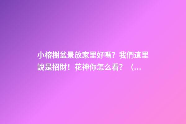 小榕樹盆景放家里好嗎？我們這里說是招財！花神你怎么看？（小榕樹盆景放家里好嗎(沒事)）