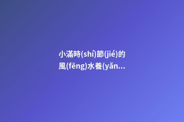 小滿時(shí)節(jié)的風(fēng)水養(yǎng)生