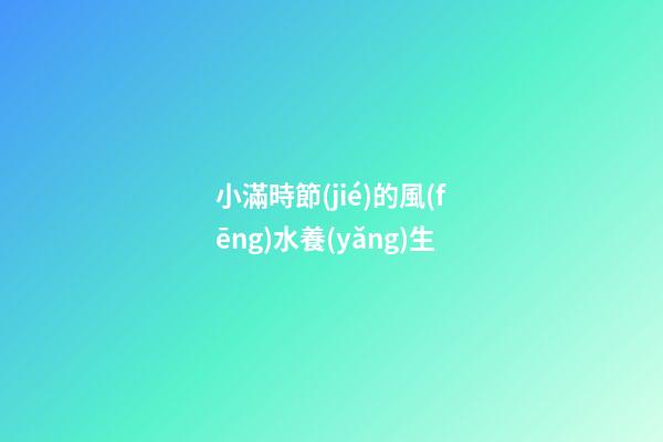 小滿時節(jié)的風(fēng)水養(yǎng)生