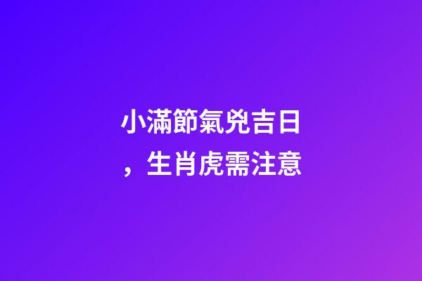 小滿節氣兇吉日，生肖虎需注意