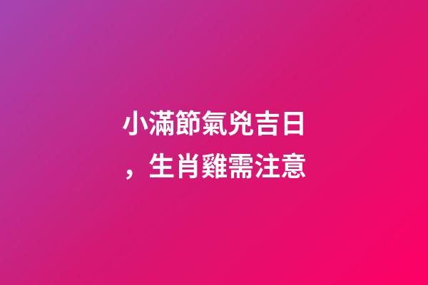 小滿節氣兇吉日，生肖雞需注意