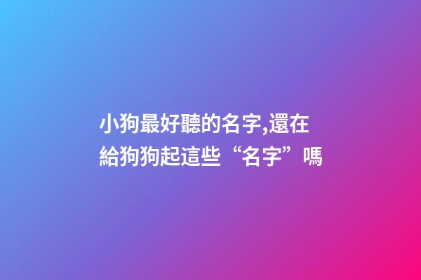 小狗最好聽的名字,還在給狗狗起這些“名字”嗎-第1張-觀點-玄機派
