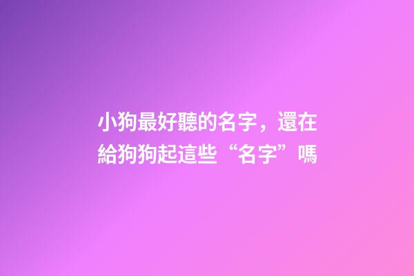 小狗最好聽的名字，還在給狗狗起這些“名字”嗎-第1張-觀點-玄機派