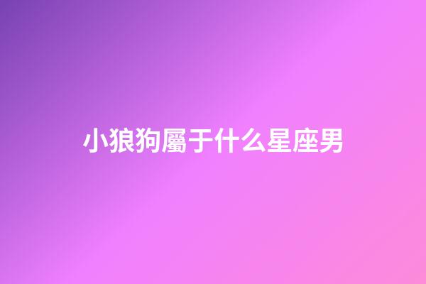 小狼狗屬于什么星座男