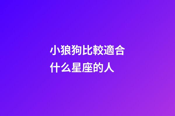 小狼狗比較適合什么星座的人-第1張-星座運勢-玄機派