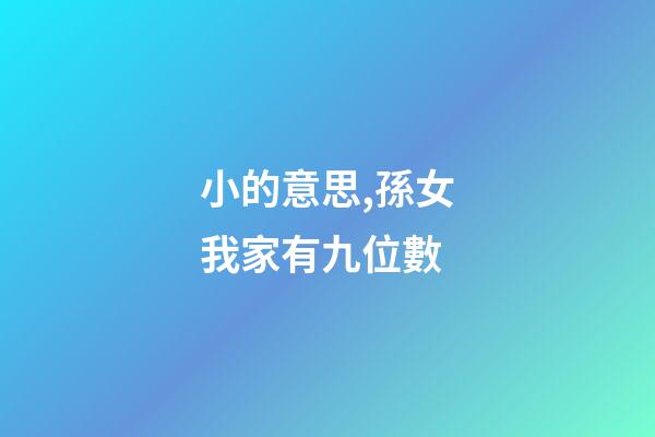 小的意思,孫女我家有九位數-第1張-觀點-玄機派