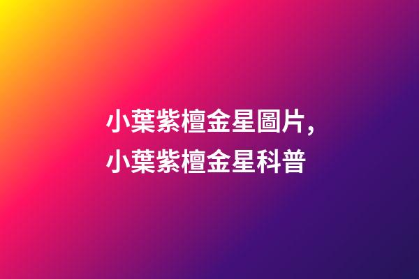 小葉紫檀金星圖片,小葉紫檀金星科普-第1張-觀點(diǎn)-玄機(jī)派