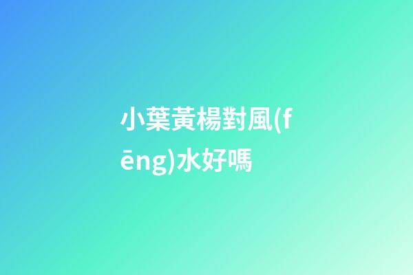 小葉黃楊對風(fēng)水好嗎