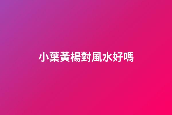小葉黃楊對風水好嗎