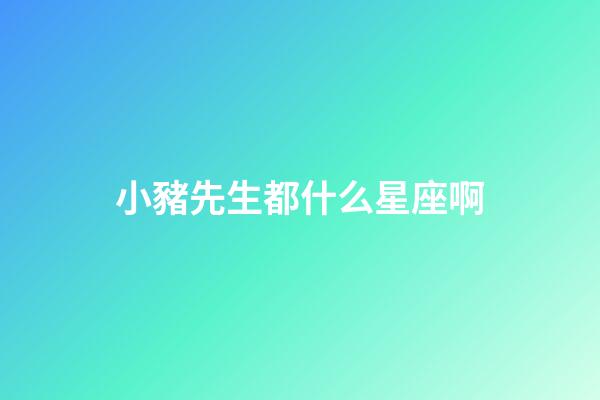 小豬先生都什么星座啊