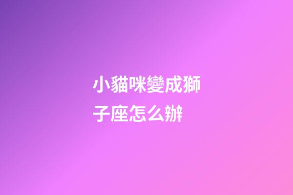 小貓咪變成獅子座怎么辦-第1張-星座運勢-玄機派