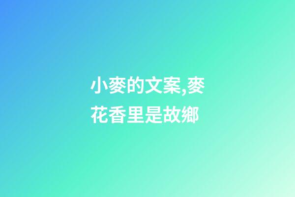 小麥的文案,麥花香里是故鄉-第1張-觀點-玄機派