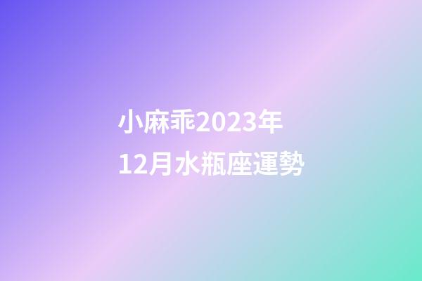 小麻乖2023年12月水瓶座運勢-第1張-星座運勢-玄機派