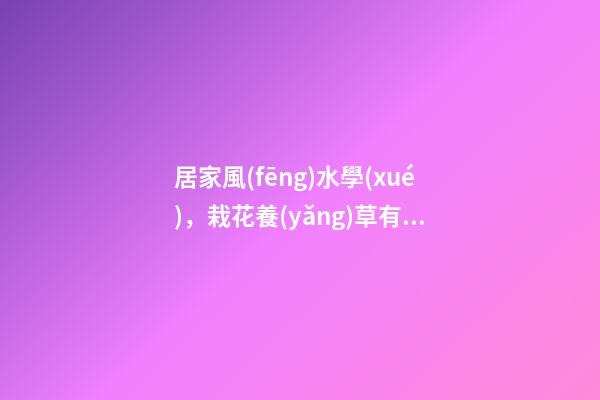 居家風(fēng)水學(xué)，栽花養(yǎng)草有學(xué)問，房子住得旺不旺得看它們說了算