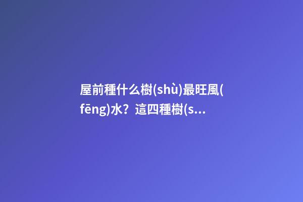 屋前種什么樹(shù)最旺風(fēng)水？這四種樹(shù)旺人旺財(cái)
