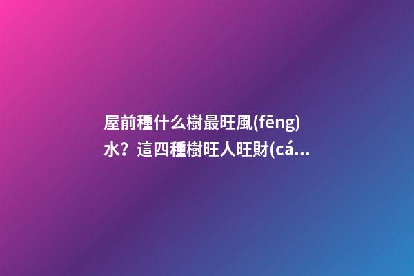 屋前種什么樹最旺風(fēng)水？這四種樹旺人旺財(cái)