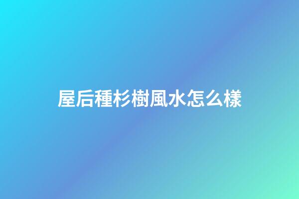 屋后種杉樹風水怎么樣