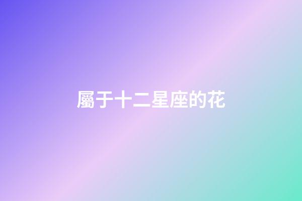 屬于十二星座的花-第1張-星座運勢-玄機派