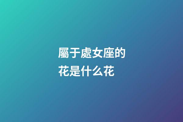 屬于處女座的花是什么花-第1張-星座運勢-玄機派