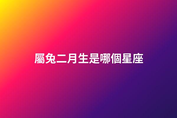 屬兔二月生是哪個星座