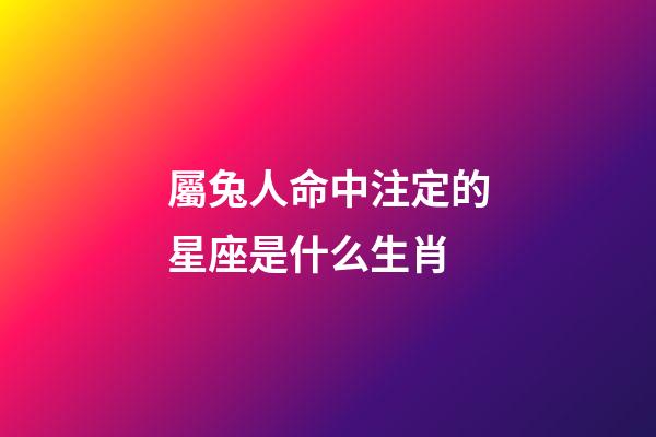 屬兔人命中注定的星座是什么生肖
