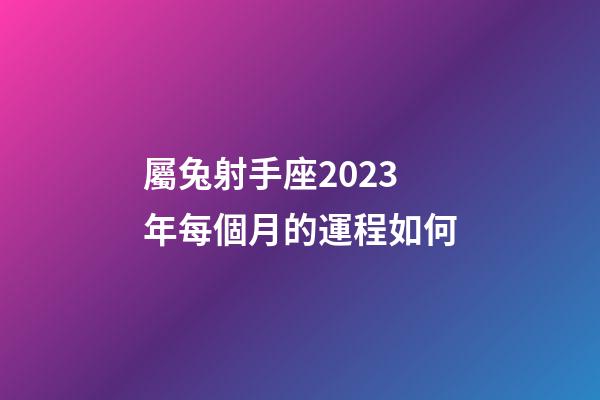 屬兔射手座2023年每個月的運程如何