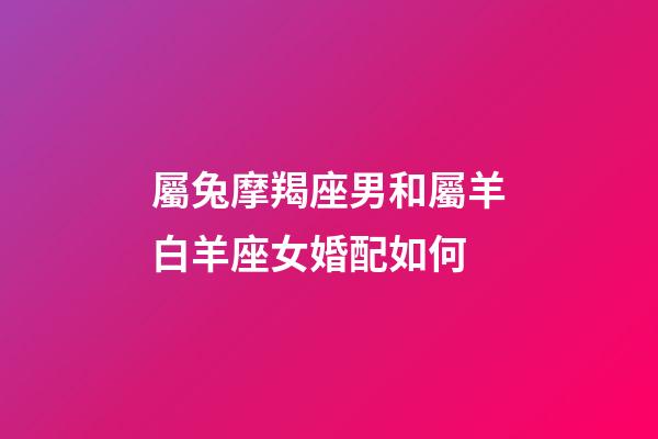 屬兔摩羯座男和屬羊白羊座女婚配如何-第1張-星座運勢-玄機派