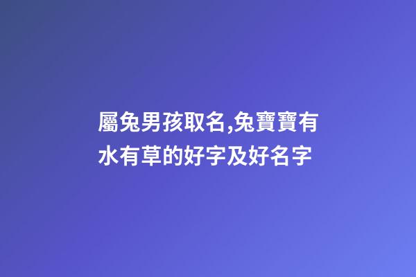 屬兔男孩取名,兔寶寶有水有草的好字及好名字-第1張-觀點-玄機派