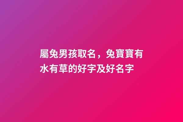 屬兔男孩取名，兔寶寶有水有草的好字及好名字-第1張-觀點-玄機派