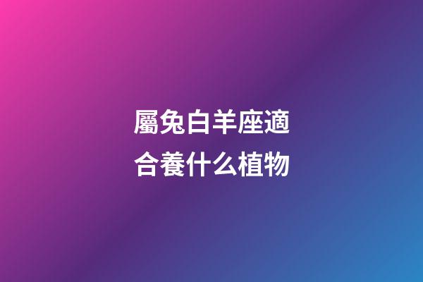 屬兔白羊座適合養什么植物-第1張-星座運勢-玄機派