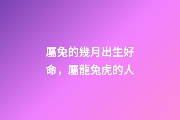 屬兔的幾月出生好命，屬龍兔虎的人-第1張-觀點-玄機派
