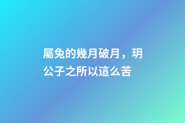 屬兔的幾月破月，玥公子之所以這么苦-第1張-觀點-玄機派