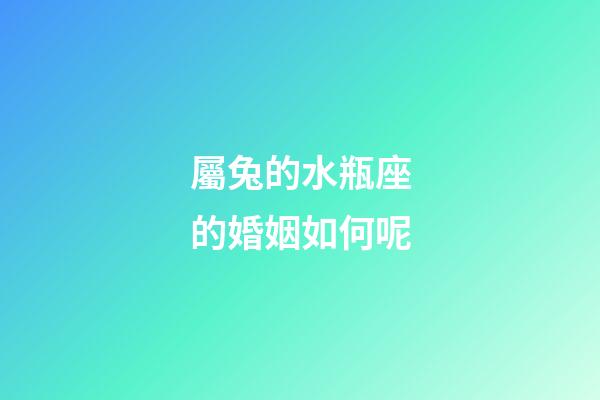 屬兔的水瓶座的婚姻如何呢-第1張-星座運勢-玄機派