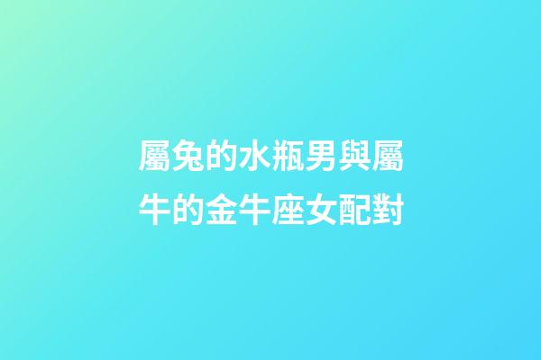 屬兔的水瓶男與屬牛的金牛座女配對-第1張-星座運勢-玄機派