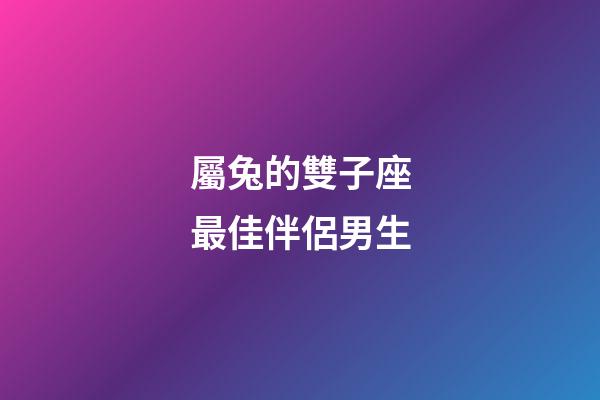 屬兔的雙子座最佳伴侶男生-第1張-星座運勢-玄機派
