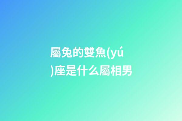 屬兔的雙魚(yú)座是什么屬相男-第1張-星座運(yùn)勢(shì)-玄機(jī)派