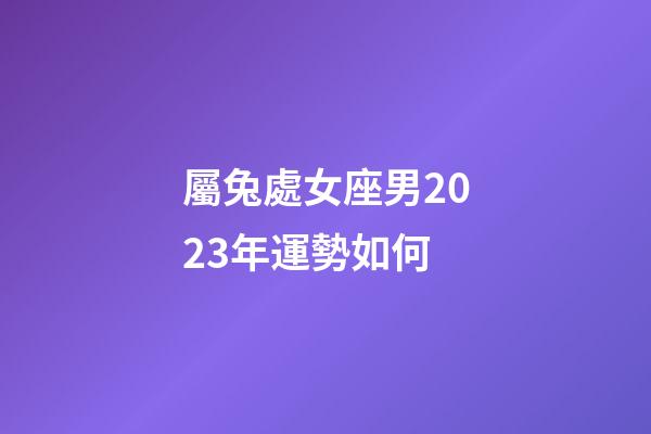 屬兔處女座男2023年運勢如何-第1張-星座運勢-玄機派