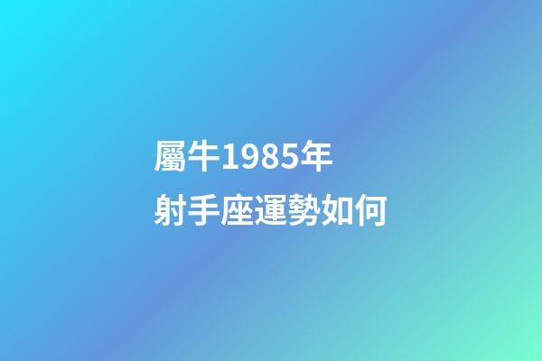 屬牛1985年射手座運勢如何-第1張-星座運勢-玄機派